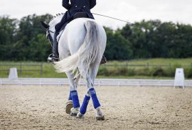 Ülés javítás – lovasok hatékony mozgáskorrekciója