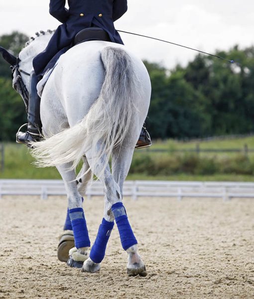 Ülés javítás – lovasok hatékony mozgáskorrekciója