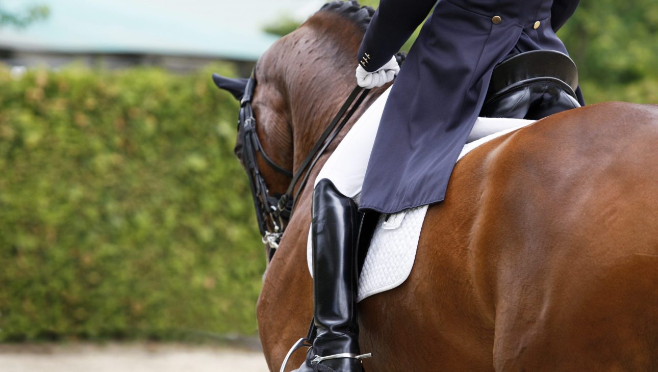 Hinging rider- 12 hetes tréning az alapoktól