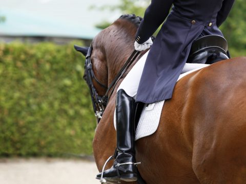 Hinging rider- 12 hetes tréning az alapoktól