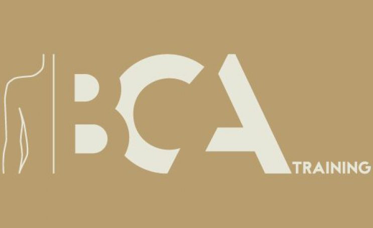bca_logo3-1