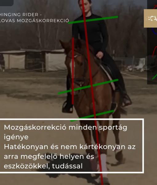 Lovas mozgáskorrekciós felmérés